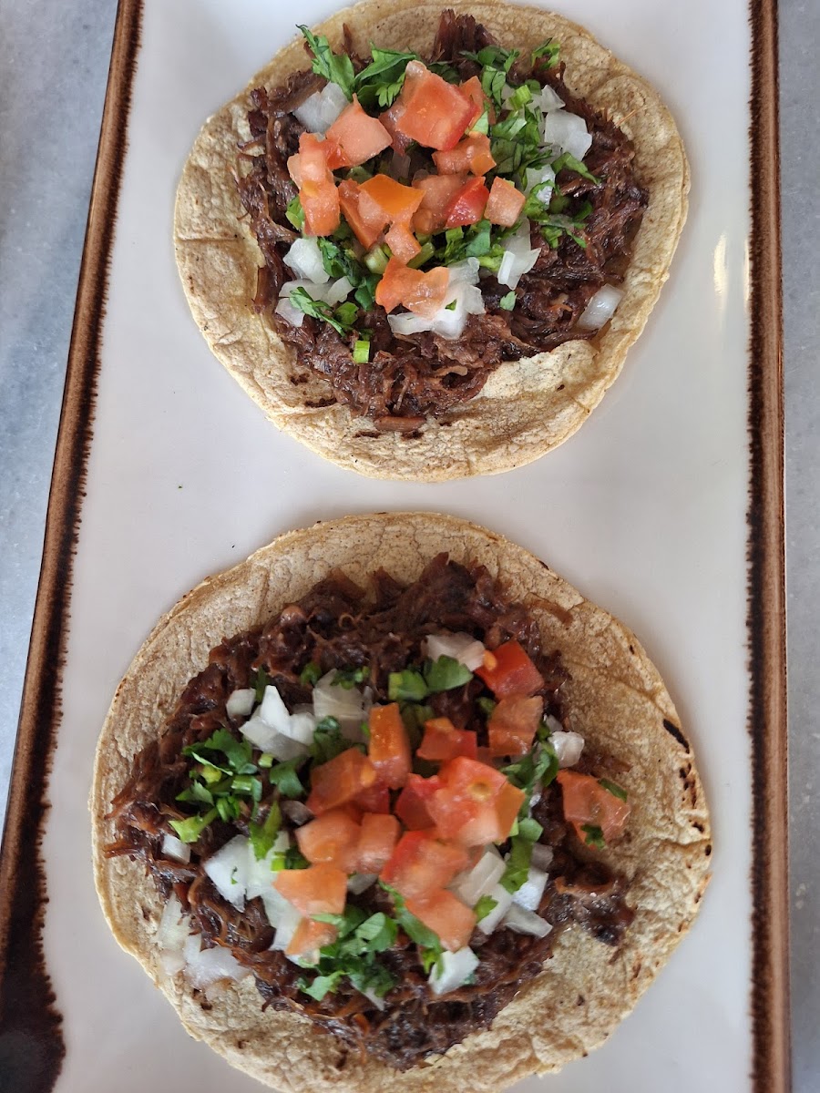 Sal Mestiza Photos 2